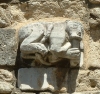 simiot2.jpg