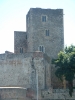 moineauxdevanttour1.jpg